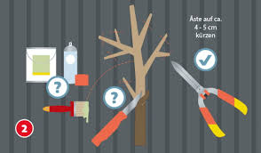 Baumstamm beistelltisch couchtisch deko handgefertigt. Garderobe Selber Bauen Ratgeber Auf Hagebau At