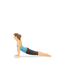 Yoga Pose Upward Facing Dog Ioga Pilates Fisicos