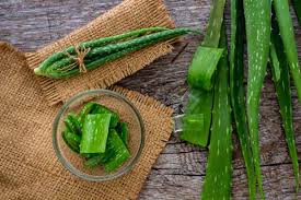 Bagi wanita, rambut bagaikan mahkota. Cara Ampuh Mengatasi Rambut Rontok Secara Alami Blog Unik