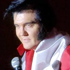 Top 20 Elvis Impersonators for Hire in Delafield, WI