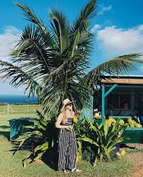 Along with being a great spot for a picnic in kona, honls is one of the best reef breaks one can find. Blog The Bus And Us