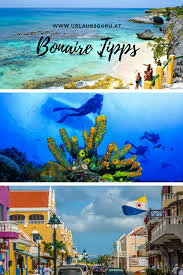 Urlaub Auf Bonaire Urlaubsguru At Urlaub Reisen Urlaub Aida Urlaub