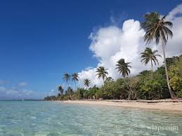 Le prix dépend de la saison et des disponibilités comme chez n'importe quel loueur mais dans pour la guadeloupe c'est largement suffisant sachant que la plupart des guadeloupéens ne font pas plus de 50km faîtes le plein en quelques minutes. Quel Est Le Cout De La Vie En Guadeloupe Wlaps