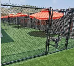 He tries to teach one of them how to use the slide and let's just say that we're not sure if he's a great teacher. Pin On Doggie Daycare Boarding