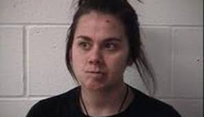 2 Indiana adults charged with drug possession in Scott County