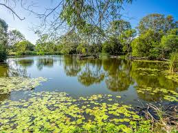 The glorious beachfront stretches for approximately 17 km around the bay from gatakers bay to urangan harbour. 20 Fabulous Things To Do In Hervey Bay