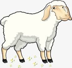 قصة الخراف السبعة للاطفال مكتوبة cartoon sheep animals mammals