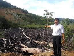No.telp kawasan mande / no.telp kawasan mande / aselinya sih banyak sekali tempat. Dlh Pessel Sudah Dilarang Perusakan Mandeh Masih Berlanjut