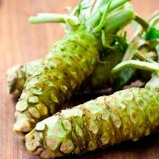 Wasabi ist schwierig aber der aufwand lohnt. Echter Wasabi Krauter Aromapflanzen Gemuse Ahrens Sieberz Pflanzenversand Gartenbedarf