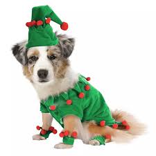 Pet Kopek Giysileri Komik Noel Elf Kedi Kopek Kostum Rol Oynayan Cosplay Giysi Icin Kucuk Orta Kediler Kopek Kiyafetleri Noel Yeni Yil Kopek Setleri Aliexpress