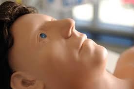 New Class Participates in Landmark Simulation Study