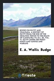 A History Of Egypt From The End Of The Neolithic Period To The Death Of Cleopatra Vii B C 30 Wallis Budge E A 9780649041640 Amazon Com Books