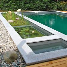 More Bio Pool Piscina No Quintal Piscinas Modernas Paisagismo Piscina