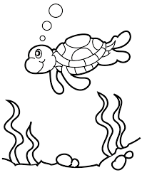 We did not find results for: Free Printable Sea Turtle Coloring Pages For Kids