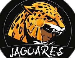 Jaguares much like blixa bargeld of einstürzende neubauten appropriated the scribblings of an unknown toltec for that band's public image, rock en español band jaguares borrowed this design from an unknown mayan in 1996 for the el equilibrio de los jaguares lp. Taekwondo Logo Projects Photos Videos Logos Illustrations And Branding On Behance