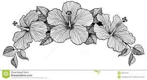 Three Hibiscus Flower Bouquet Hibiscus Flower Drawing Hawaiian Flower Drawing Hawaiian Flower Tattoos