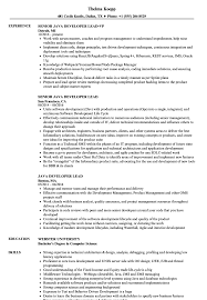 Java Developer Lead Resume Samples Velvet Jobs