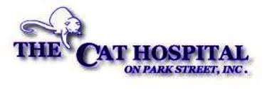All appointments until then will remain curbside. The Cat Hospital On Park Street St Petersburg Florida 33707 Only The Best Cat Feline Veterinary Animal Hospital In St Petersburg Fl 33707