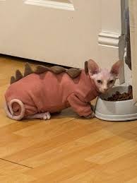 Utahraptor born! So cute as a baby!