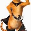 Create meme the cat from shrek (the cat from shrek , meme cat , shrek ). Https Encrypted Tbn0 Gstatic Com Images Q Tbn And9gcs3pmm7dtbthtk4u1ouhs3gz Aht01ujkka2rtmmee Usqp Cau