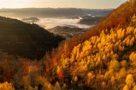 Cozy Autumn Pictures | Download Free Images on Unsplash
