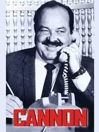 Did you ever watch a tv show called The Detectives?