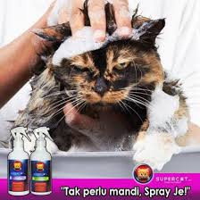 Bagaimana kalau membasmi kutu menggunakan bumbu dapur? Cara Hilangkan Kutu Kucing 3 Cara Untuk Mengatasi Masalah Kutu Pada Kucing Sumber Blog Meowmania 1 Suntikan Anti Parasit Suntikan Diberikan Mengikut Dos Yang Ditetapkan Perlu Ulang Rawatan Selepas 12 14 Hari