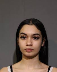 MARLENE RAMOS, MELENY 22 WHITE F CHARGES: 720 ILCS 5.0/21-1-A-1 CRIM DMG TO  PROP $500-10K OFFENSE AS CITED