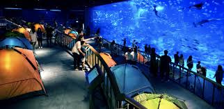 Sea Aquarium Ticket