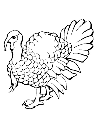Photos of the 5 thanksgiving dinner coloring pages. Turkey Coloring Pages 105 Free Printable Coloring Pages