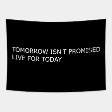 Jess knew she should go home, but she had to see alaric. Tomorrow Isn T Promised Yolo Inspirational Quote Yolo Tapestry Teepublic