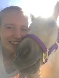 Sunshine Mini Therapy Horse