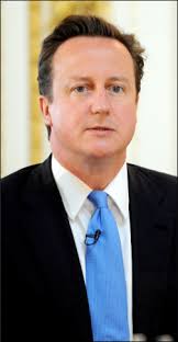 Jogger 'stable' after brushing against toxic amphibian