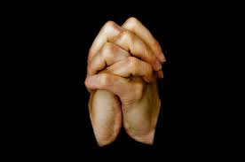 467 63 dove hand trust god. Betende Hande Kostenloses Stock Bild Public Domain Pictures