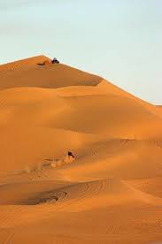 Sand Dunes Yuma Arizona Yuma Arizona Arizona Travel Yuma