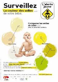 Veiller Au Foie De Bébé Grâce À La Couleur De Ses Selles