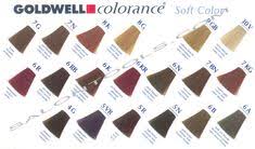 List Of Pinterest Goldwell Topchic Color Chart Colour Ideas