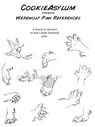 Werewolf Paw Ref By Cookieasylum Deviantart Com On Deviantart Werewolf Drawing Paw Drawing Anatomy Reference