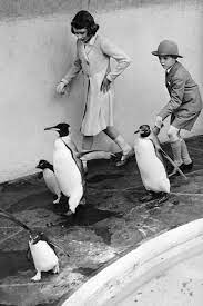 Queen Elizabeth Ii Queen Elizabeth Elizabeth Ii Princess Elizabeth