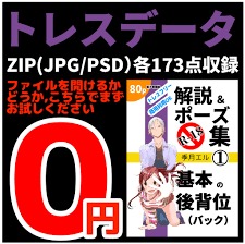 トレスデータ「R-18解説＆ポーズ集①基本の後背位」 - 季月エル L-size - BOOTH