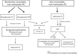 Doctors have identified some factors that may increase the risk of this type of cancer, including smoking and having certain inherited gene mutations. Neoadjuvant Treatment Of Borderline Resectable And Non Resectable Pancreatic Cancer Annals Of Oncology