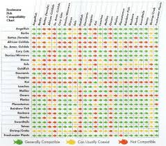 Ram Cichlid Compatibility Chart Www Bedowntowndaytona Com