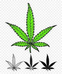 If you have similar likes, then look out for the diverse tattoo designs based on this marijuana plant. Download Leaves Weed Weed Leaf Tattoo Designs Weeds Png Free Transparent Png Images Pngaaa Com