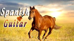 Top Spanish Guitar Relaxing Guitar Music With Wild Animals 1 Animals Wild Guitar Animals