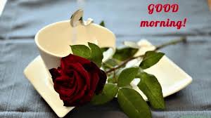 Download mp3 good morning love gratis, ada 14 daftar lagu good morning love yang bisa anda download. á…top 350 Good Morning Gifs Morning Gif Love Gif Images