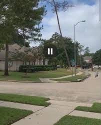 Many of these girls have never been on camera before or since while others, like aria giovanni, make their debut here. Tree Felling Fail Amateur Lumberjack Yells Out In Fury As 50ft Pine Crashes Down Onto House Roof