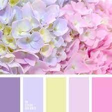 Amarillo Y Lila Amarillo Y Magenta Amarillo Y Rosado Amarillo Y Violeta Color Rosa Aberenj Color Palette Design Color Palette Color Schemes Colour Palettes