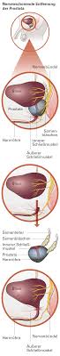 Reviews common tests for these conditions, as well as treatment side effects. Therapie Von Prostatakrebs Therapieformen Meine Prostata De