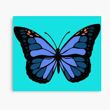 In the mountains of mexico, a spy hummingbird ventures into the heart of a breathtaking monarch butterfly swarm.please like and subscribe if you enjoyed it! Blue Monarch Butterfly Wall Art Redbubble