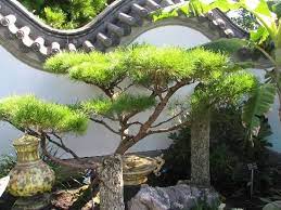 Botanical Gardens In Montreal Quebec Chinese Garden Garden Plants Design Montreal Botanical Garden